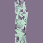 Pescadora Basic 2100'2 verde agua
